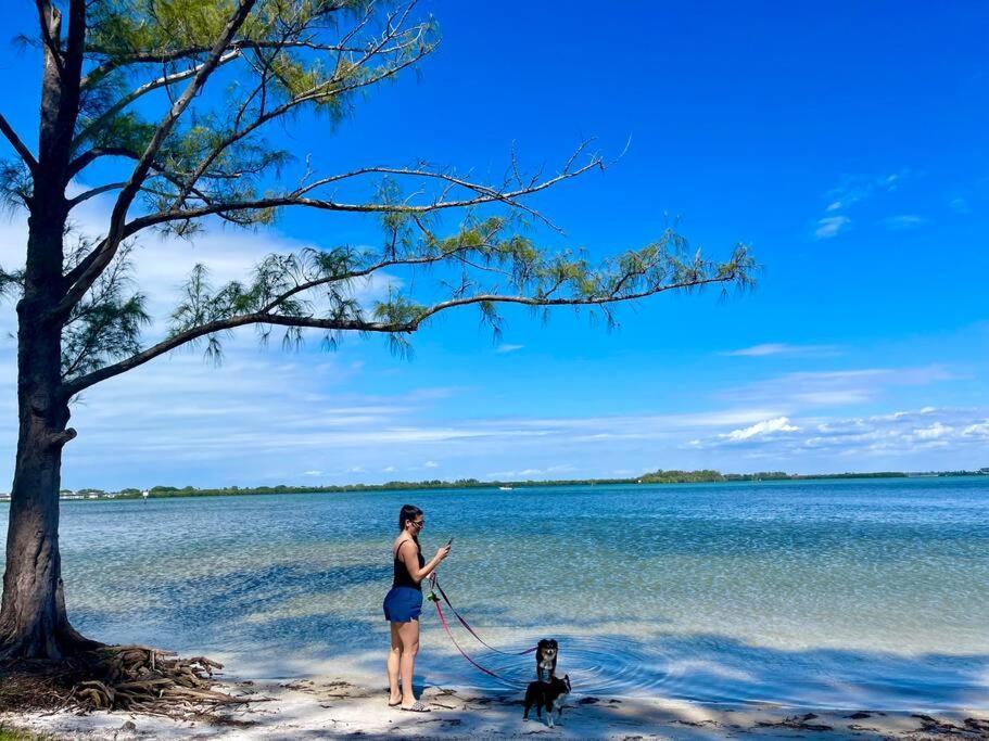 New Dog Paradise - Near The Beach Img & Downtown Bradenton Exterior foto